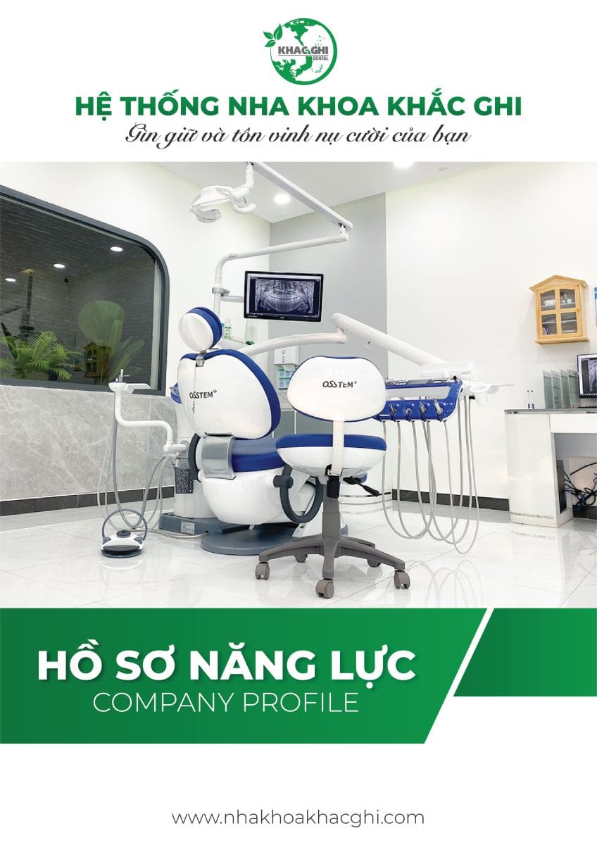 ho so nang luc 1