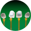 icon dan su