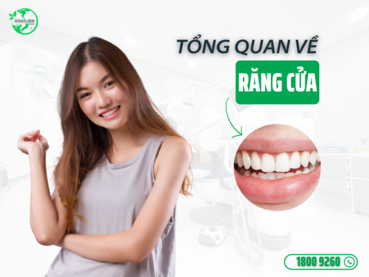 tong quan ve rang cua 1