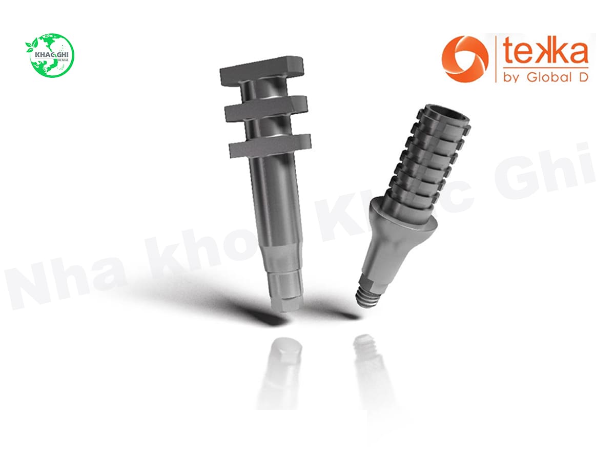 Trụ implant Tekka Pháp